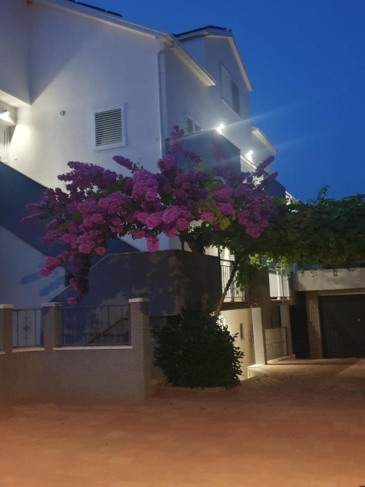 Apartment Bozovic Orebic Exterior photo